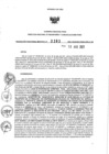 Vista preliminar de documento 1415431643_RDR N°0393-2021-10-08-21..pdf