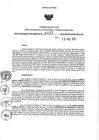 Vista preliminar de documento 44163087_RDR N°0407-2021-19-08-21..pdf