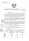 Vista preliminar de documento Resolución Jefatural 132-2022.pdf
