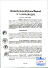 Vista preliminar de documento Resolución Gerencial General Regional