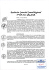 Vista preliminar de documento Resolución Gerencial General Regional