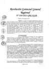 Vista preliminar de documento Resolución Gerencial General Regional