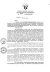 Vista preliminar de documento RGGR_460_2018.pdf
