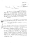 Vista preliminar de documento Resolución Gerencial Regional de Desarrollo Económico