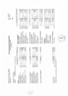 Vista preliminar de documento estado financiero