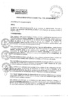 Vista preliminar de documento rgm-329-2019-mdjm.pdf