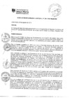 Vista preliminar de documento rgm-309-2019-mdjm.pdf