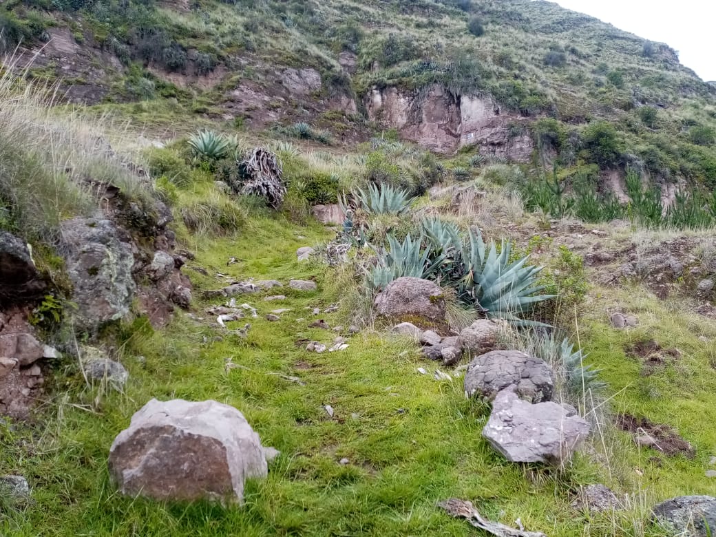 Ministerio de Cultura determina Protección Provisional del Paisaje Arqueológico Camino Prehispánico Huayqui - Waqrapukara de Acos en Cusco