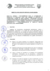 Vista preliminar de documento DIRECTIVA Nº 003-2022.