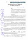 Vista preliminar de documento RDR-204-2022