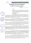 Vista preliminar de documento RDR-205-2022