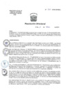 Vista preliminar de documento RD 330-2018-DG-HNAL .pdf