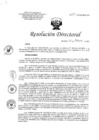 Vista preliminar de documento RD N°029-2022-DG-HEJCU-OP.PDF