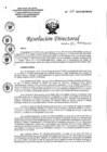 Vista preliminar de documento RD N°038-2022-DG-HEJCU.PDF