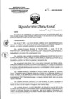 Vista preliminar de documento RD N°141-2022-DG-HEJCU.PDF