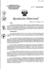Vista preliminar de documento RD N°123-2022-DG-HEJCU.PDF