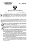 Vista preliminar de documento RD N°104-2022-DG-HEJCU.PDF