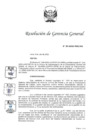 Vista preliminar de documento RGG 029-2022 Y ANEXO.pdf