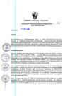 Vista preliminar de documento RGGR_419_2018.pdf