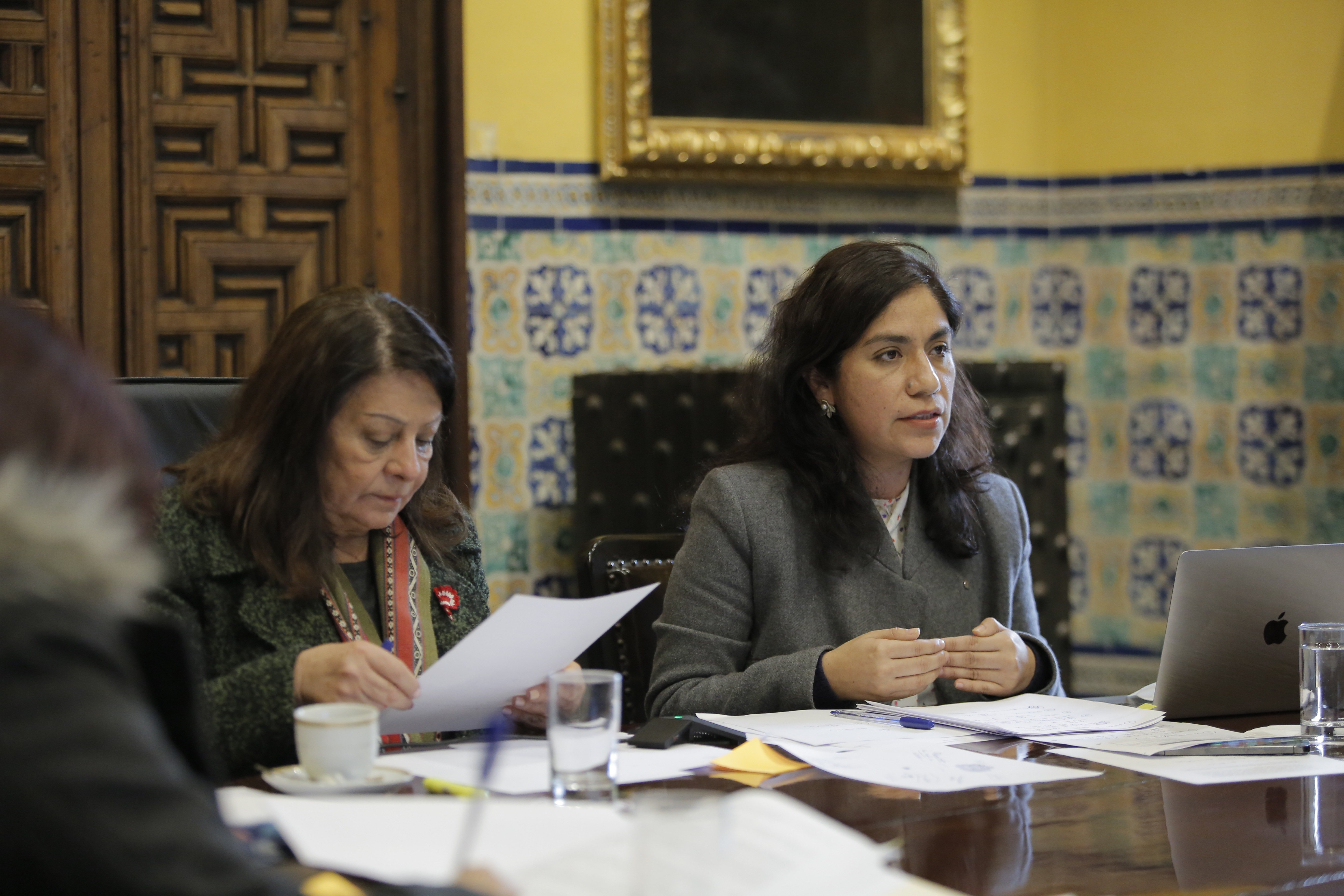 Presentación de Diana Miloslavich en la Comisión de Mujer y Familia del Congreso