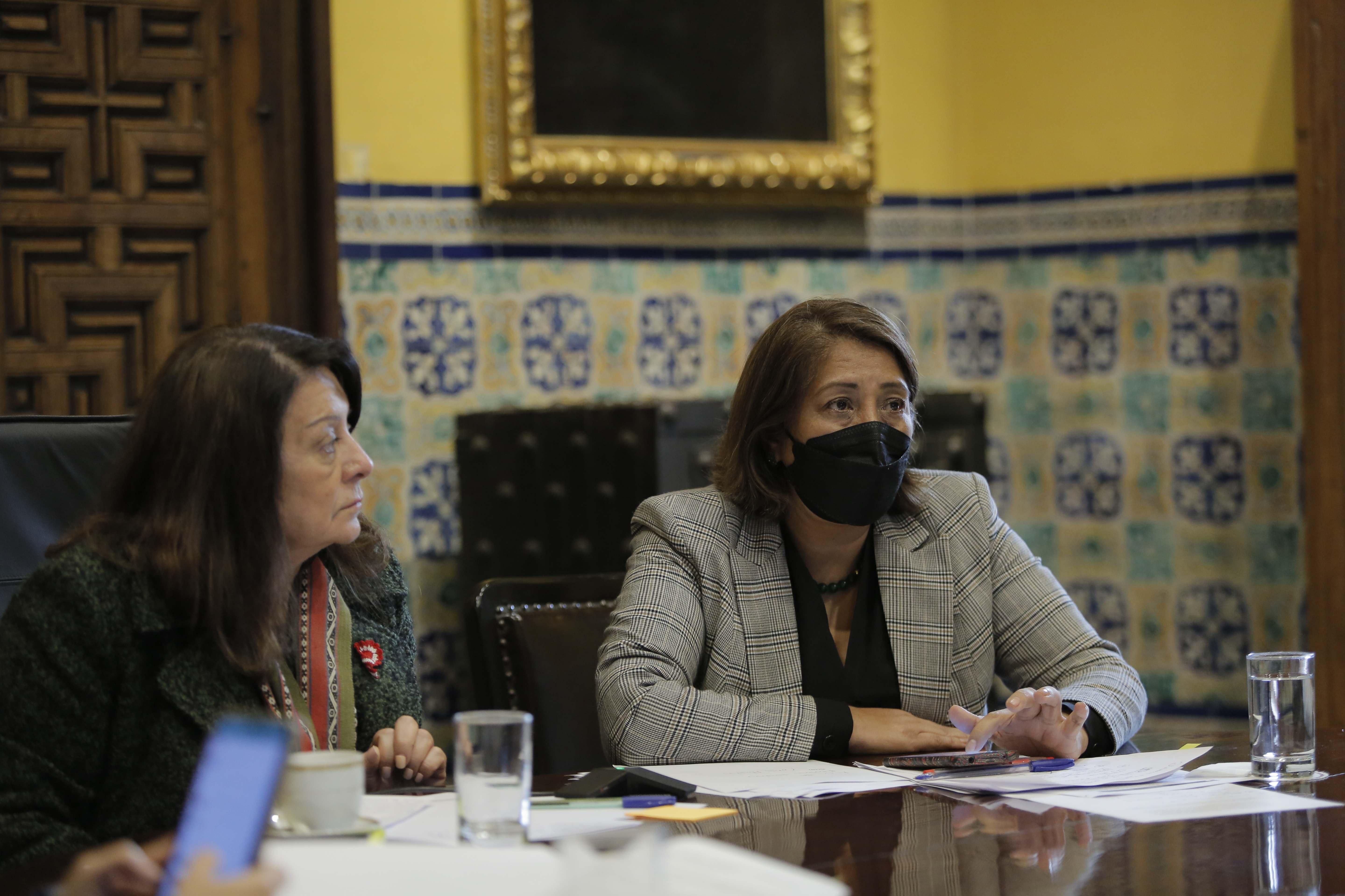 Presentación de Diana Miloslavich en la Comisión de Mujer y Familia del Congreso