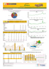 Vista preliminar de documento Boletín de volumen y precio de PAPA 11/07/22