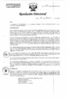 Vista preliminar de documento Resolución Directoral N°017A-DG-2019-HEJCU-OP.PDF