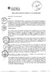 Vista preliminar de documento rgm-021-2020-mdjm.pdf