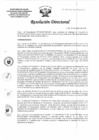 Vista preliminar de documento Resolución Directoral N°020-2019-DG-HEJCU-OP.PDF