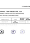 Vista preliminar de documento CIST-y-PSICOLOGO.pdf