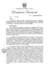 Vista preliminar de documento RD 253.pdf