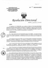 Vista preliminar de documento Resolución Directoral N°036-2019-DG-HEJCU Plan de Trabajo 2019.PDF