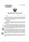 Vista preliminar de documento Resolución Directoral N°056-2019-DG-HEJCU Plan Anual de Auditoría Médica - Of. de Calidad.PDF