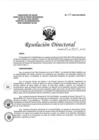 Vista preliminar de documento Resolución Directoral N°068-2019-DG-HEJCU Guia de Practica Clinica Diagnóstico y Manejo de Paro Cardiorespiratorio_compressed.pdf