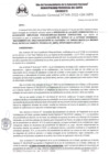Vista preliminar de documento doc0368.pdf