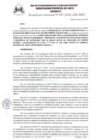 Vista preliminar de documento doc0387.pdf