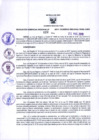 Vista preliminar de documento Resolución Gerencial Regional N°0022-2019-GRDE- GRDE