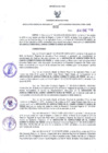 Vista preliminar de documento Resolución Gerencial Regional N°002-2019-GRDE- GRDE