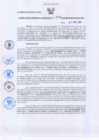 Vista preliminar de documento Resolución Gerencial Regional- GRI-N°00204-2010-GRI