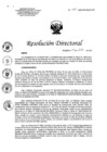 Vista preliminar de documento RD N°162-2022-DG-HEJCU-OP.PDF