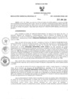 Vista preliminar de documento Resolución Gerencial Regional- GRI-N°00101-2011-GRI