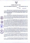 Vista preliminar de documento Resolución Gerencial Regional- GRI-N°00295-2012-GRI