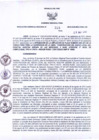 Vista preliminar de documento Resolución Gerencial Regional- GRI-N°00318-2012-GRI