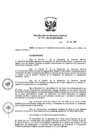 Vista preliminar de documento Resolución de Gerencia General  031-2019-OEFA-GEG