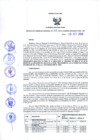 Vista preliminar de documento Resolución Gerencial Regional- GRI-N°00256-2019-GRI