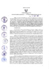 Vista preliminar de documento Resolución Gerencial Regional- GRI-N°00133-2021-GRI