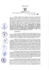 Vista preliminar de documento Resolución Gerencial Regional- GRI-N°00141-2021-GRI