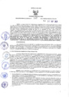 Vista preliminar de documento Resolución Gerencial Regional- GRI-N°00142-2021-GRI