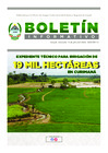 Vista preliminar de documento BOLETIN 13-07-2022