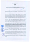 Vista preliminar de documento Resolución Gerencial Regional N°00179-2009-GRRNYGMA